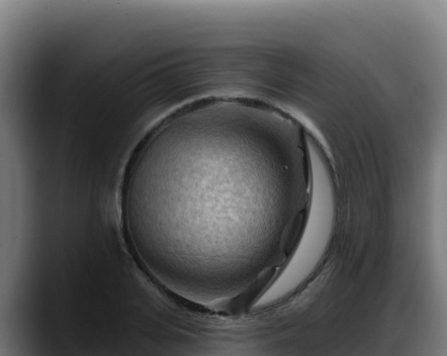 X0000088380935200705291345