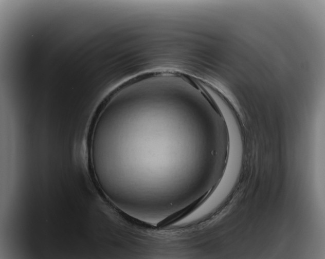 X0000088380936200705291345