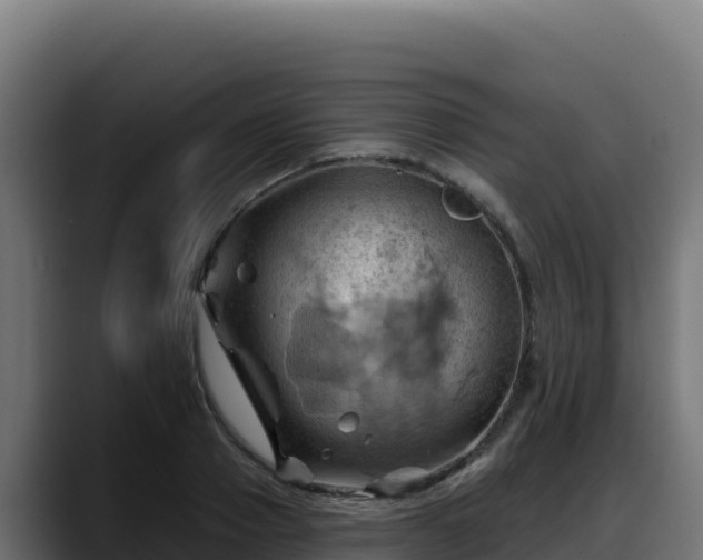 X0000088380937200705291345