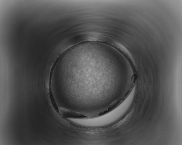 X0000088380938200705291345