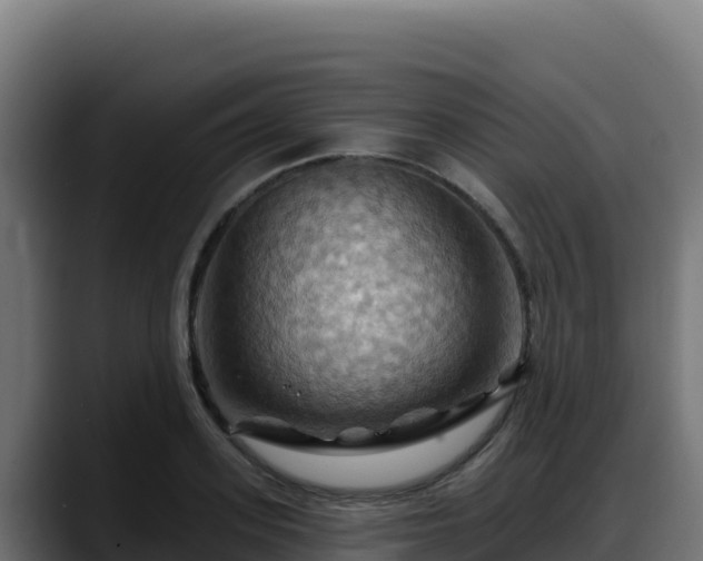 X0000088380939200705291345