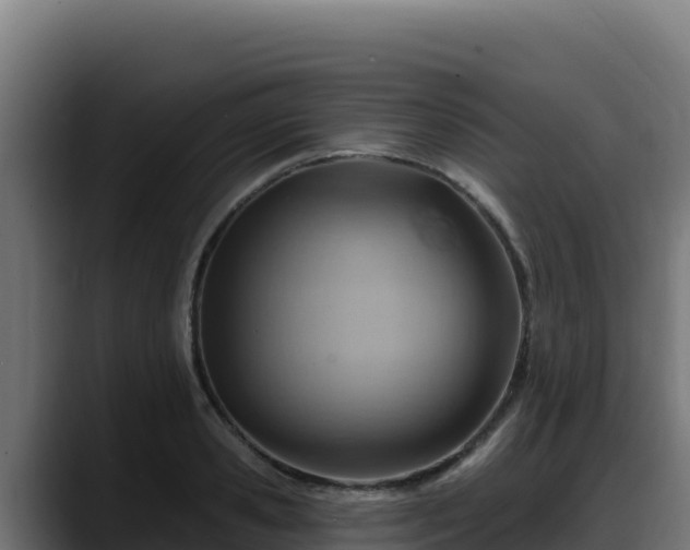 X0000088380941200705291345