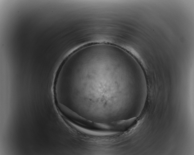 X0000088380943200705291345