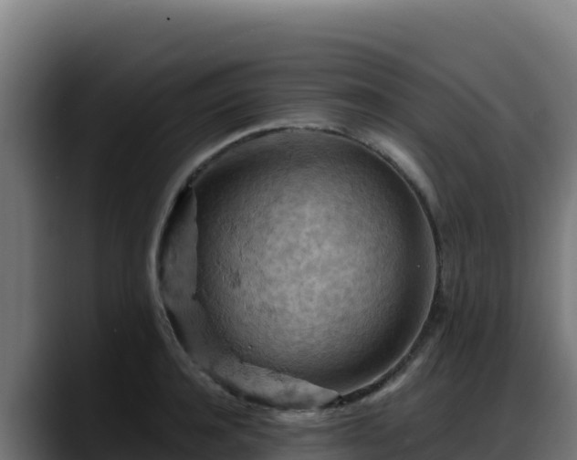 X0000088380944200705291345