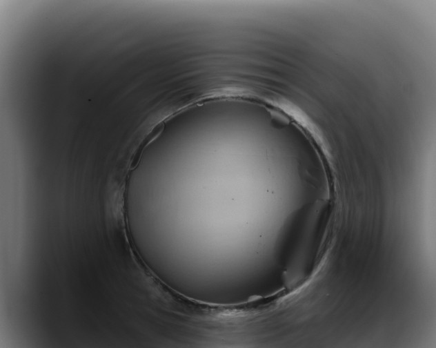 X0000088380945200705291345