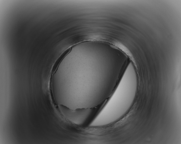 X0000088380946200705291345