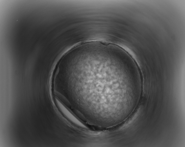 X0000088380949200705291345