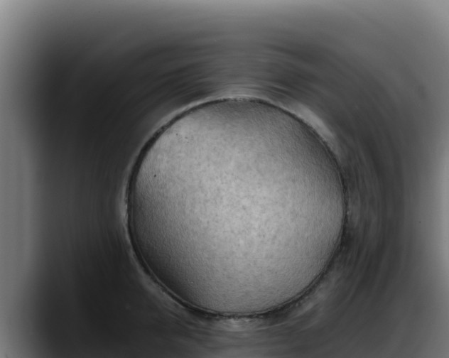 X0000088380950200705291345