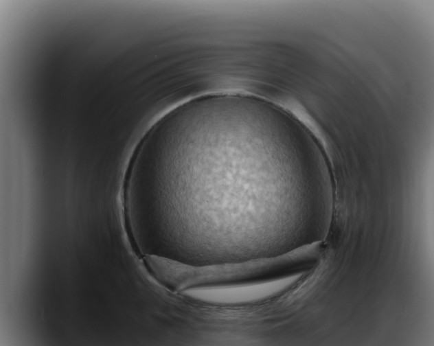 X0000088380951200705291345
