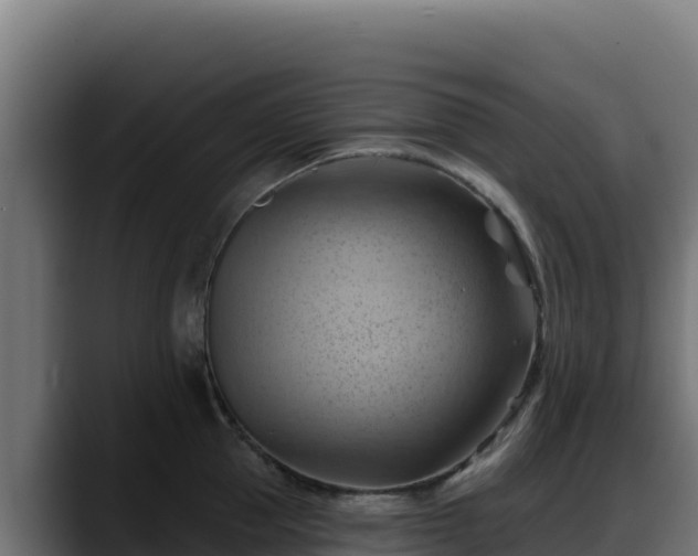 X0000088380953200705291345