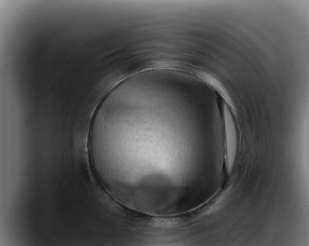 X0000088380954200705291345