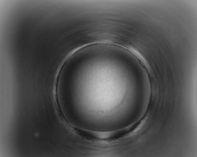 X0000088380956200705291345