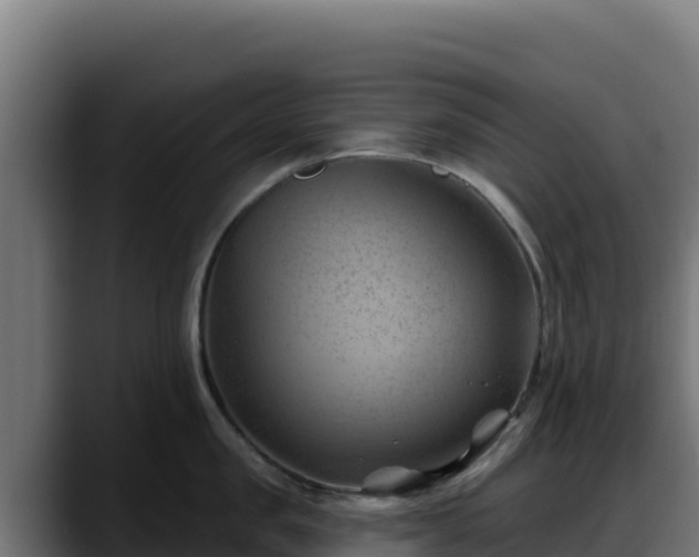 X0000088380957200705291345