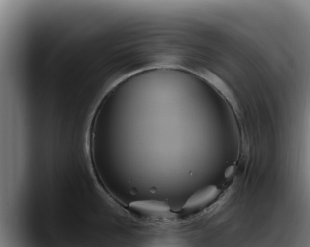 X0000088380958200705291345