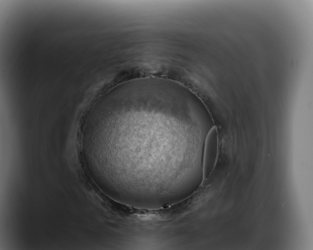 X0000088380961200705291344