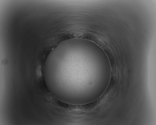 X0000088380962200705291344