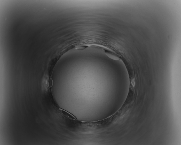 X0000088380963200705291344