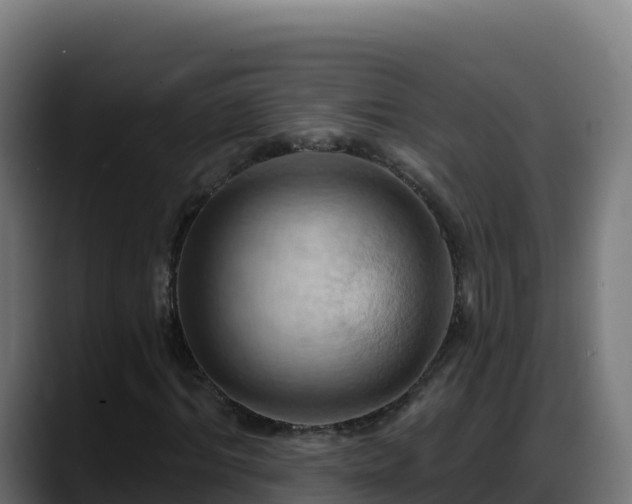X0000088380964200705291344
