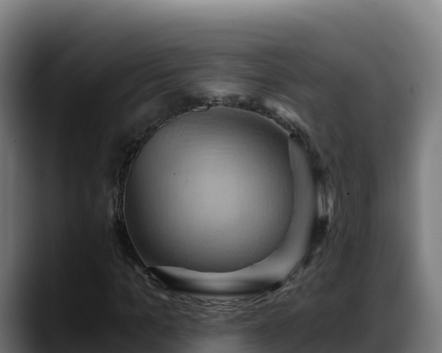 X0000088380965200705291344