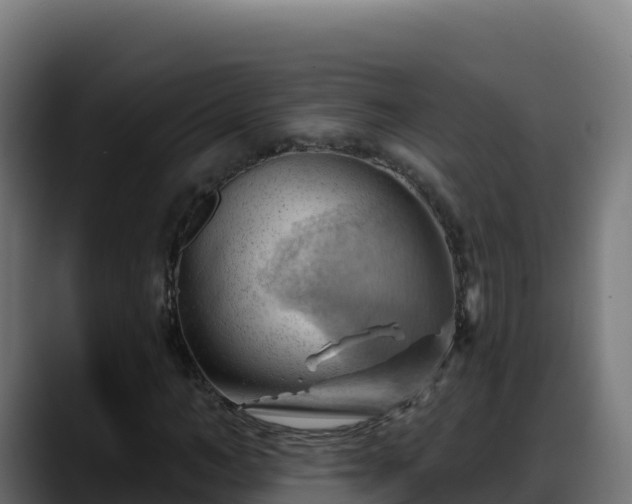 X0000088380966200705291344