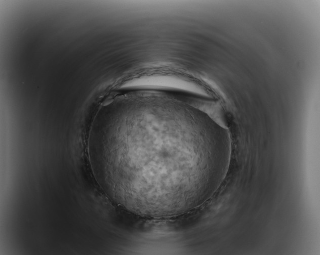 X0000088380967200705291344