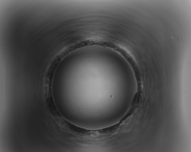 X0000088380968200705291344