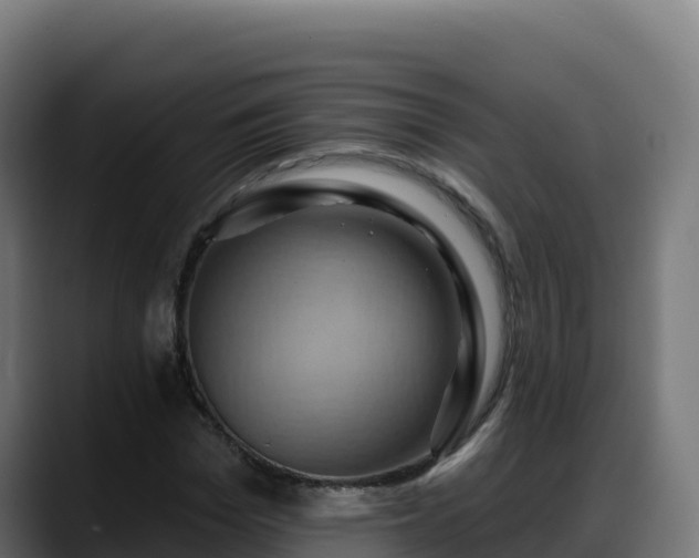 X0000088380969200705291344