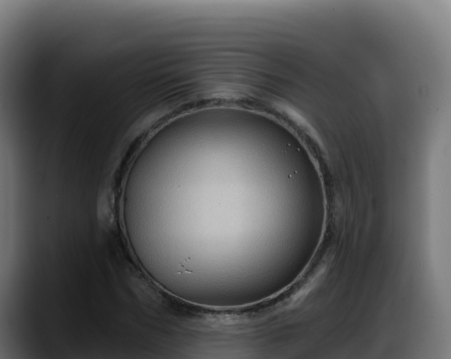 X0000088380970200705291344