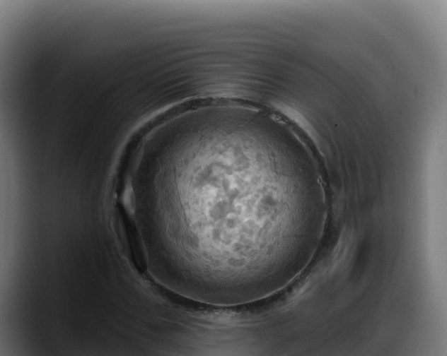 X0000088380971200705291344