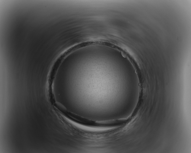 X0000088380975200705291344
