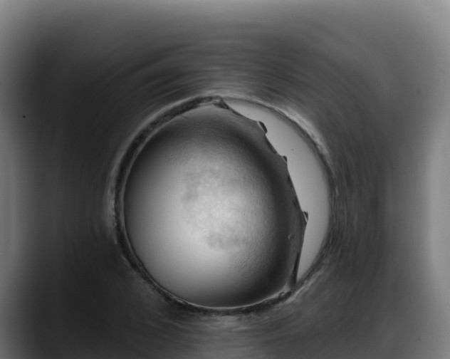 X0000088380976200705291344