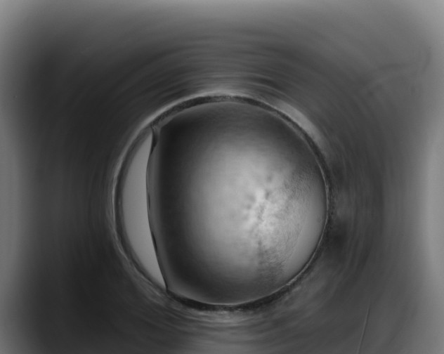 X0000088380980200705291344