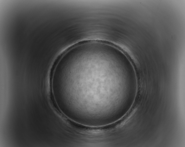 X0000088380982200705291344