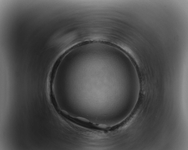 X0000088380983200705291344