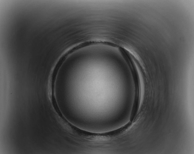 X0000088380984200705291344