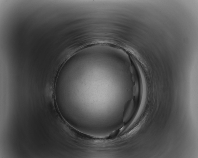 X0000088380985200705291344