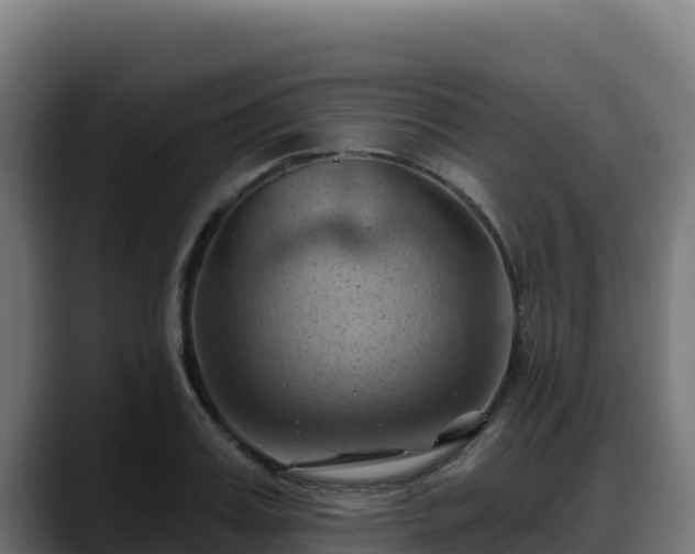 X0000088380987200705291344