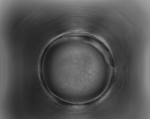 X0000088380989200705291344