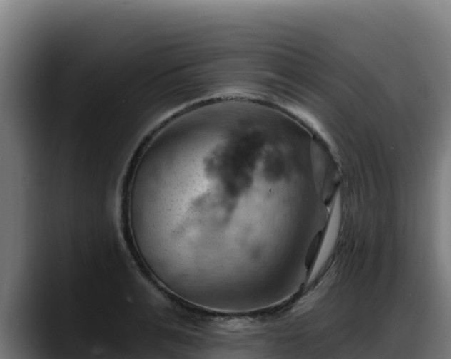 X0000088380991200705291344