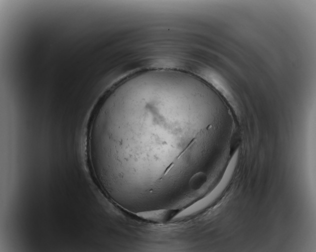 X0000088380992200705291344