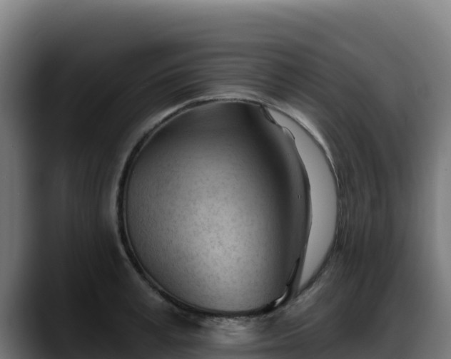 X0000088380995200705291344