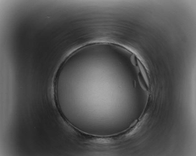 X0000088380998200705291344