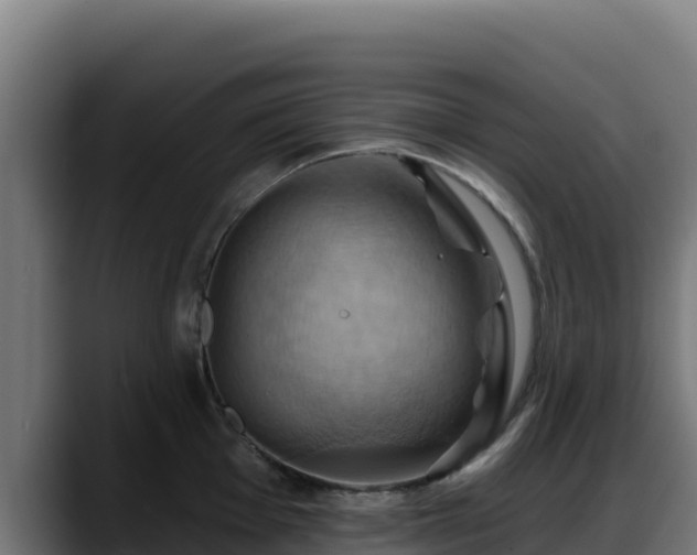 X0000088381001200705291344
