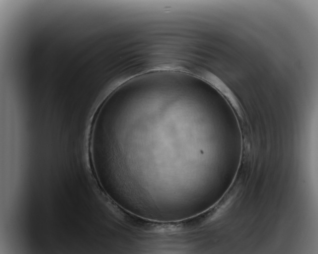 X0000088381002200705291344
