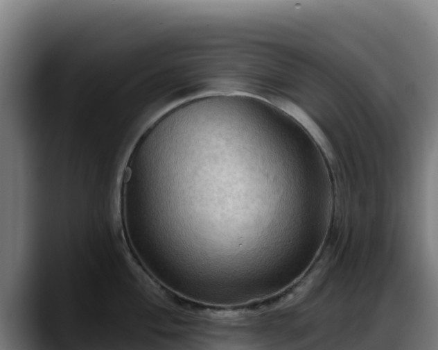 X0000088381004200705291344