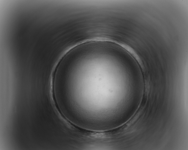 X0000088381006200705291344