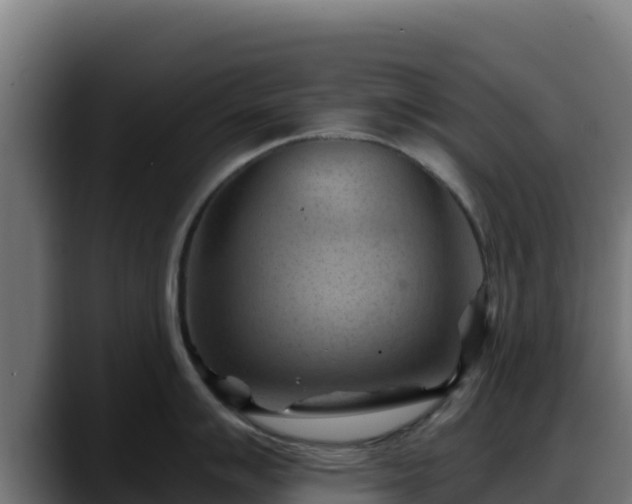 X0000088381007200705291344