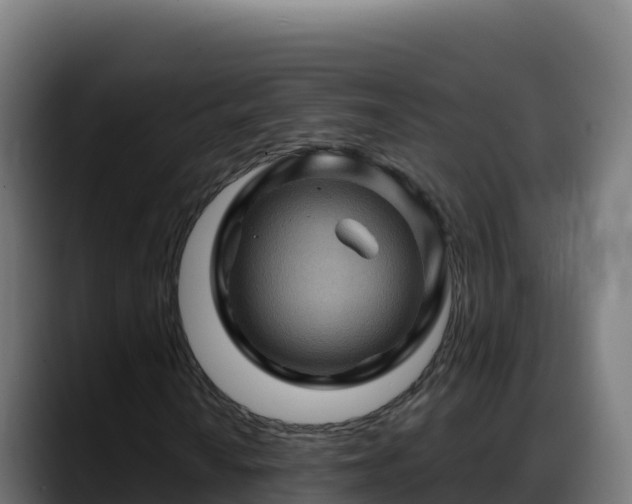 X0000088381010200705291343