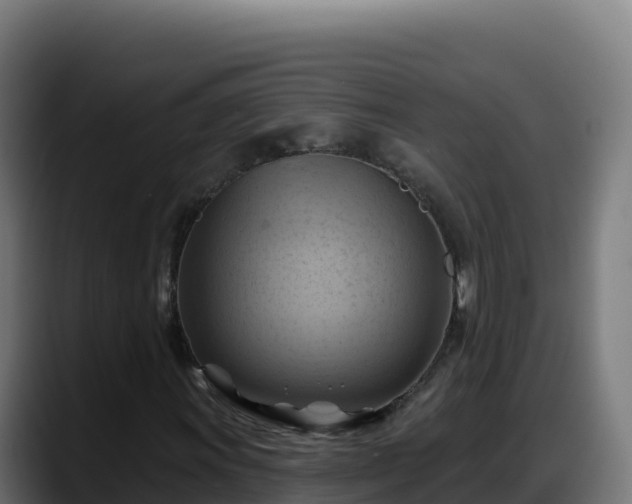 X0000088381011200705291343