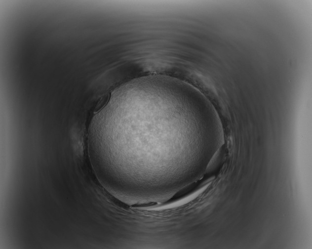 X0000088381012200705291343